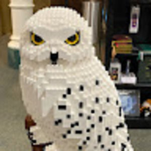 Meet your Posher, Garen